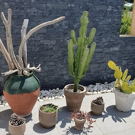 וילה Contemporaine A Sainte-maxime, Piscine, Proche Plage, 8 Pers., 4 Etoiles - Fr-1-768-36 סן-מקסים